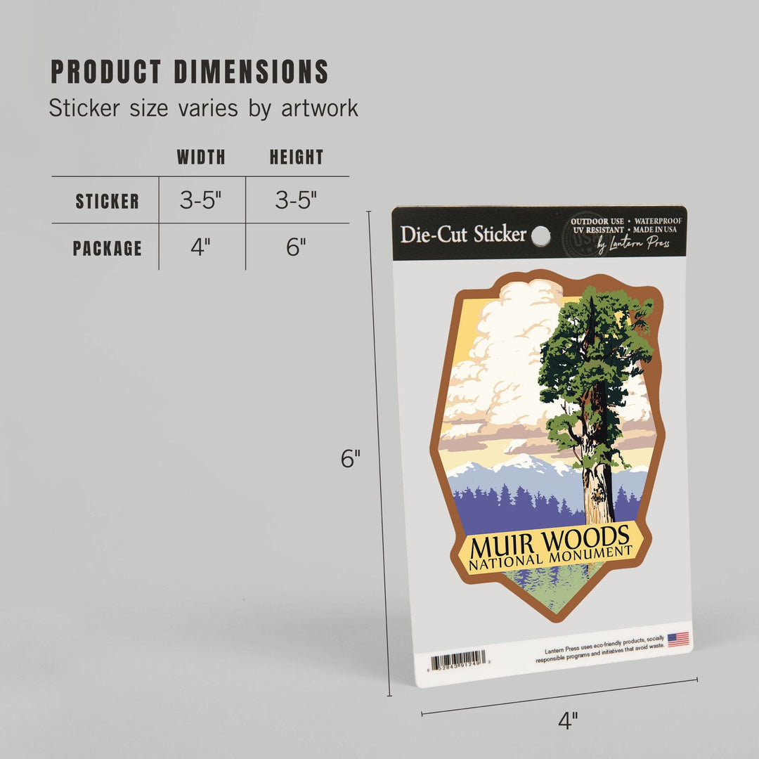 Muir Woods National Monument, California, Towering Redwood, Contour, Vinyl Sticker Sticker Lantern Press