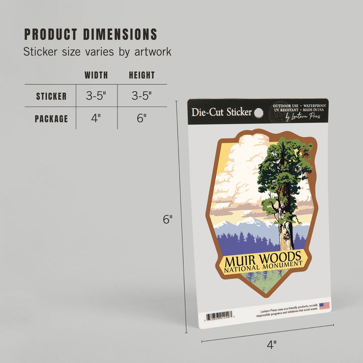 Muir Woods National Monument, California, Towering Redwood, Contour, Vinyl Sticker Sticker Lantern Press
