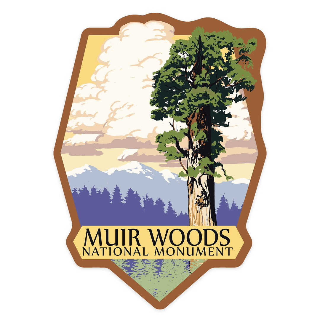 Muir Woods National Monument, California, Towering Redwood, Contour, Vinyl Sticker Sticker Lantern Press
