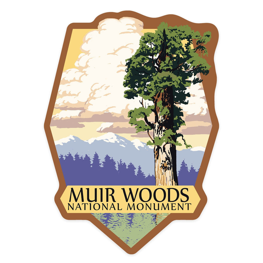 Muir Woods National Monument, California, Towering Redwood, Contour, Vinyl Sticker Sticker Lantern Press