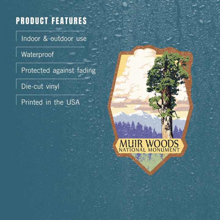 Muir Woods National Monument, California, Towering Redwood, Contour, Vinyl Sticker Sticker Lantern Press