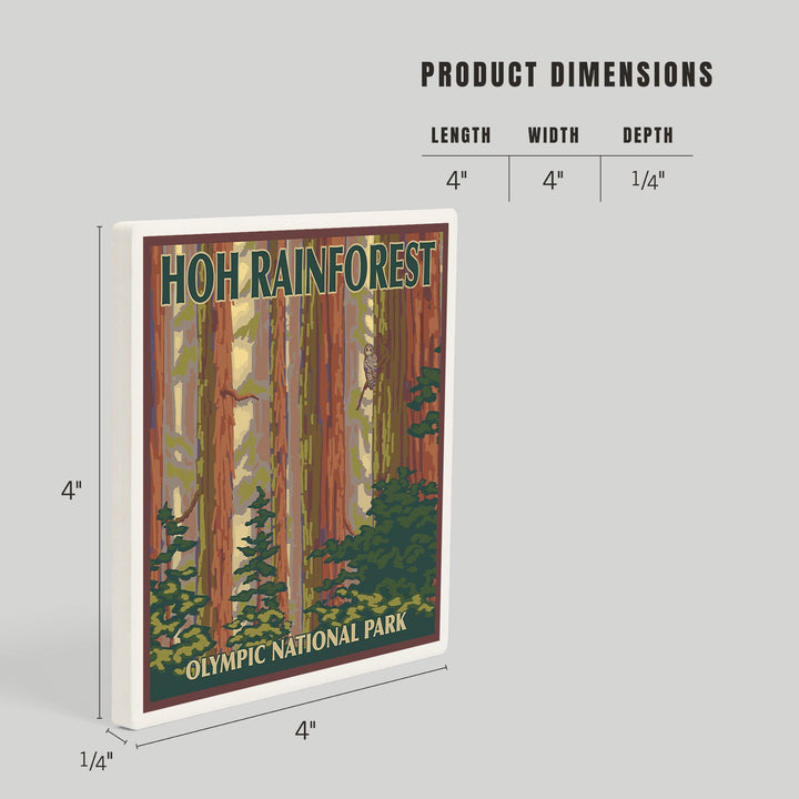 Olympic National Park, Washington, Hoh Rainforest, Coasters Coasters Lantern Press