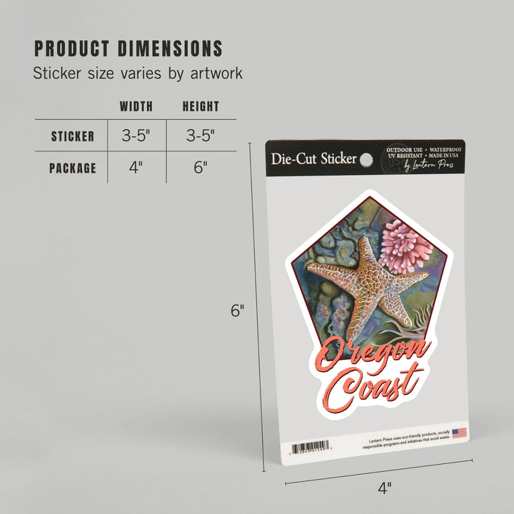 Oregon Coast, Tidepool, Contour, Vinyl Sticker Sticker Lantern Press