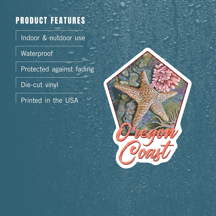 Oregon Coast, Tidepool, Contour, Vinyl Sticker Sticker Lantern Press