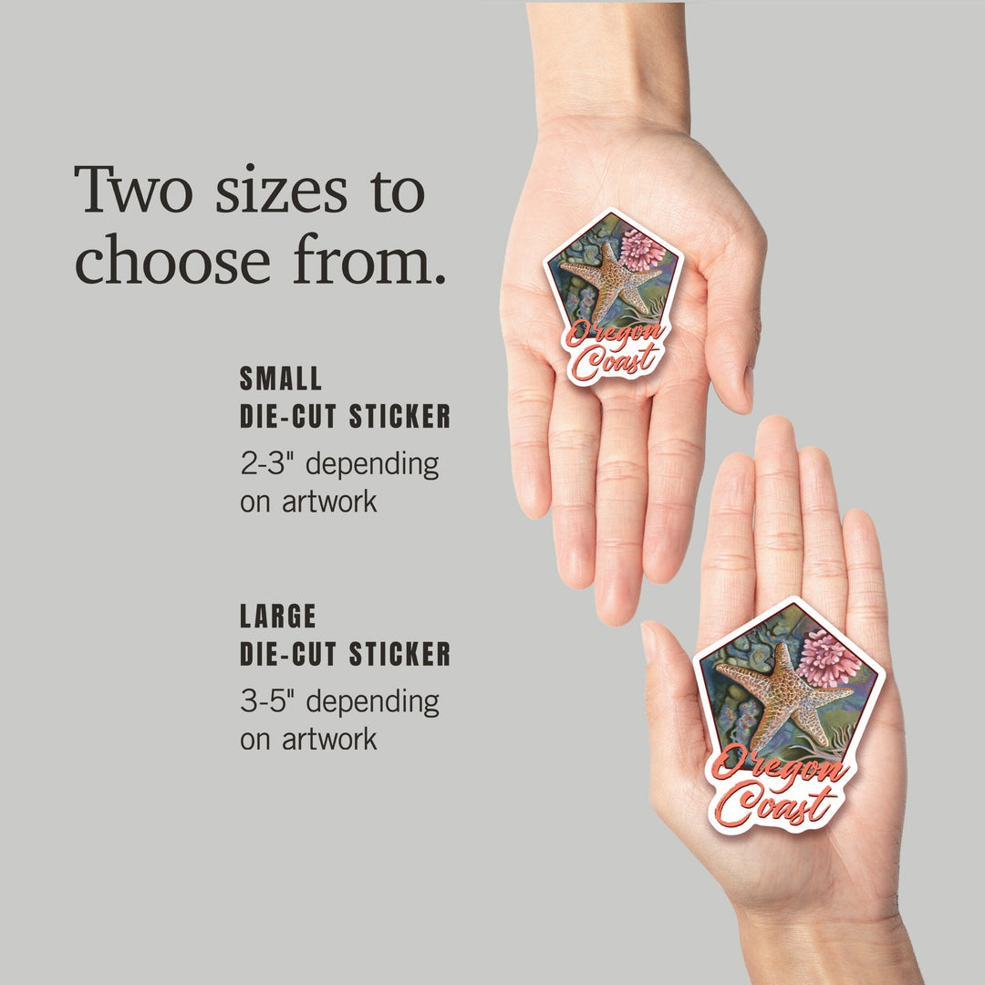 Oregon Coast, Tidepool, Contour, Vinyl Sticker Sticker Lantern Press