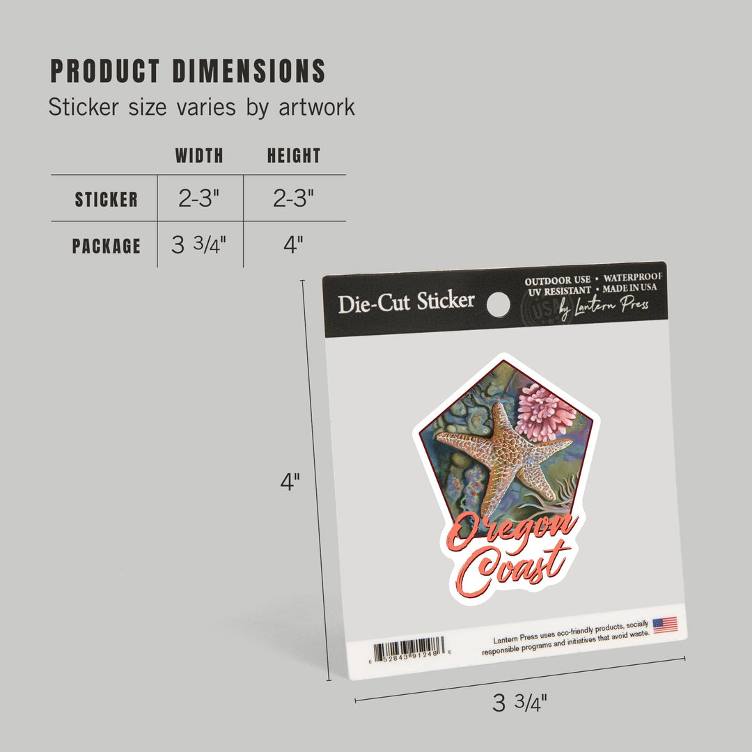 Oregon Coast, Tidepool, Contour, Vinyl Sticker Sticker Lantern Press