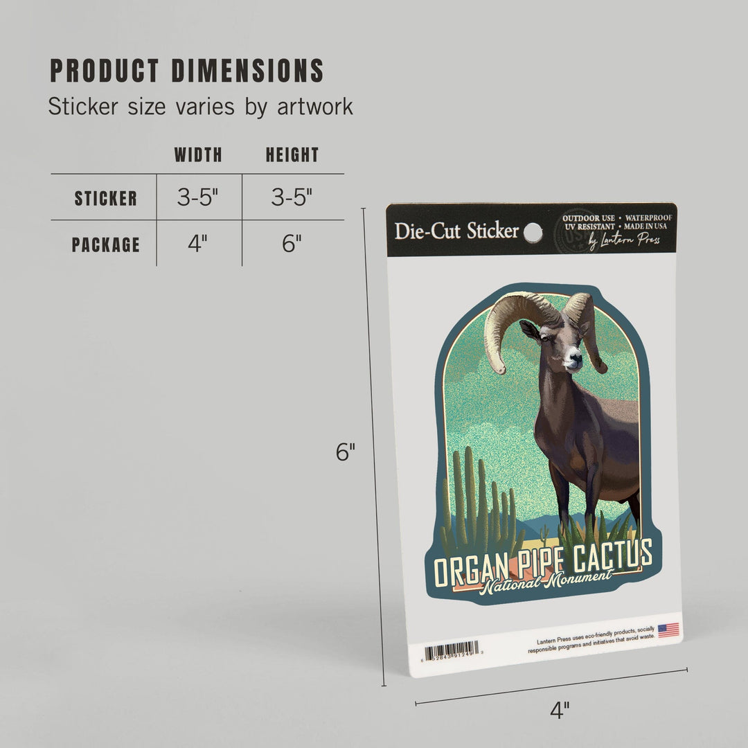 Organ Pipe Cactus National Monument, Arizona, Bighorn Sheep, Litho, Contour, Lantern Press Artwork, Vinyl Sticker Sticker Lantern Press