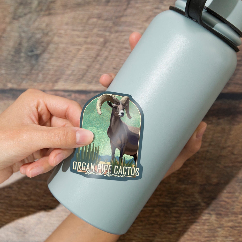Organ Pipe Cactus National Monument, Arizona, Bighorn Sheep, Litho, Contour, Lantern Press Artwork, Vinyl Sticker Sticker Lantern Press