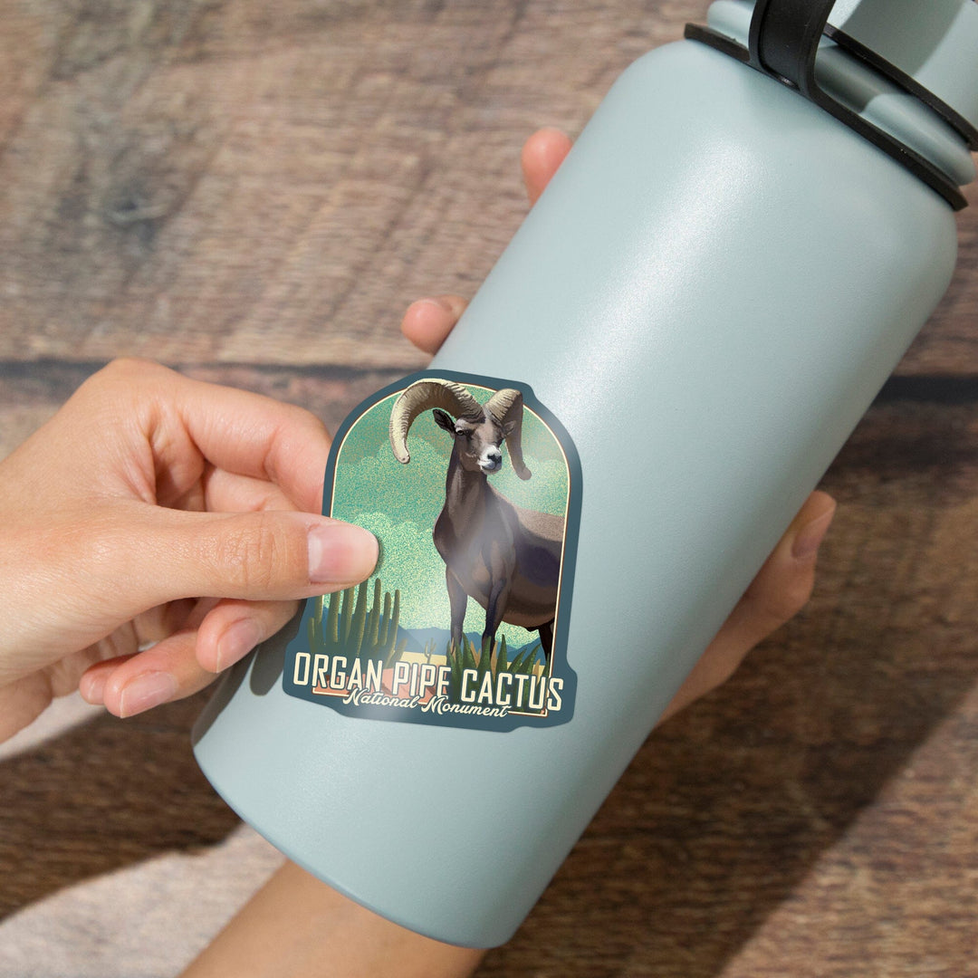 Organ Pipe Cactus National Monument, Arizona, Bighorn Sheep, Litho, Contour, Lantern Press Artwork, Vinyl Sticker Sticker Lantern Press