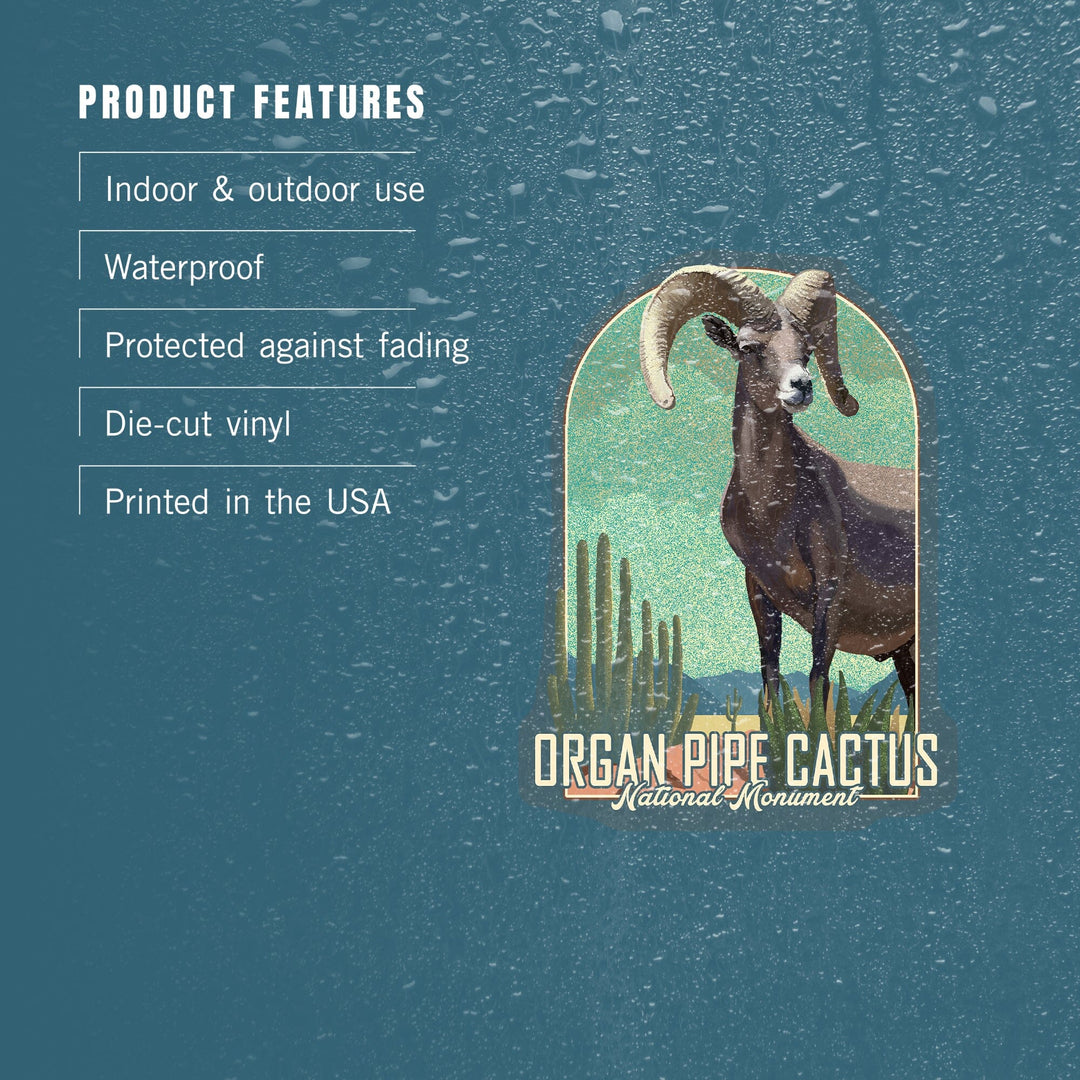Organ Pipe Cactus National Monument, Arizona, Bighorn Sheep, Litho, Contour, Lantern Press Artwork, Vinyl Sticker Sticker Lantern Press