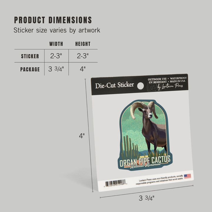 Organ Pipe Cactus National Monument, Arizona, Bighorn Sheep, Litho, Contour, Lantern Press Artwork, Vinyl Sticker Sticker Lantern Press