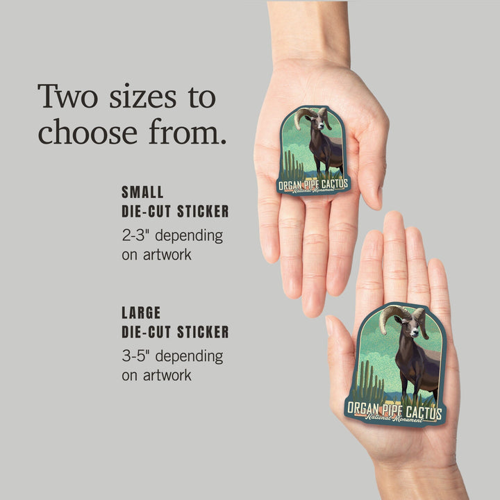 Organ Pipe Cactus National Monument, Arizona, Bighorn Sheep, Litho, Contour, Lantern Press Artwork, Vinyl Sticker Sticker Lantern Press