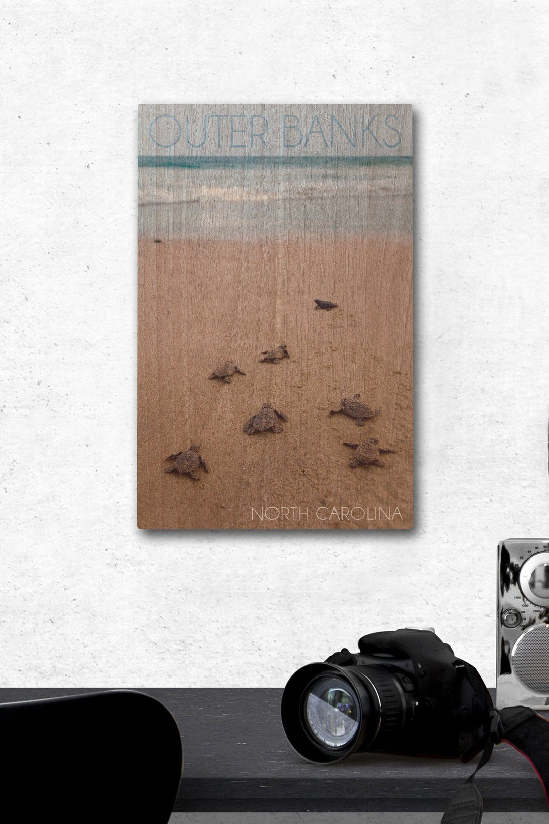Outer Banks, North Carolina, Sea Turtles Hatching, Lantern Press Photography, Wood Signs and Postcards Wood Lantern Press 12 x 18 Wood Gallery Print