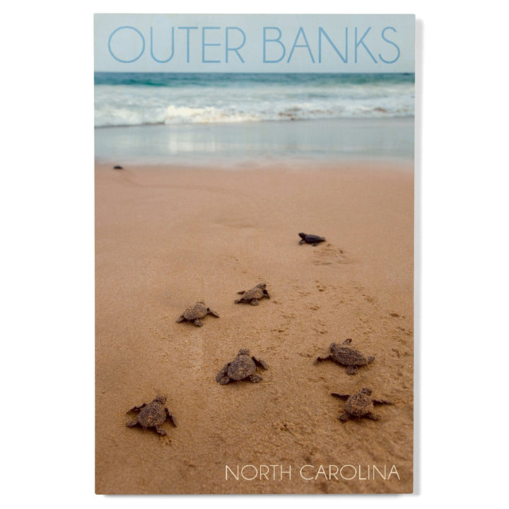 Outer Banks, North Carolina, Sea Turtles Hatching, Lantern Press Photography, Wood Signs and Postcards Wood Lantern Press