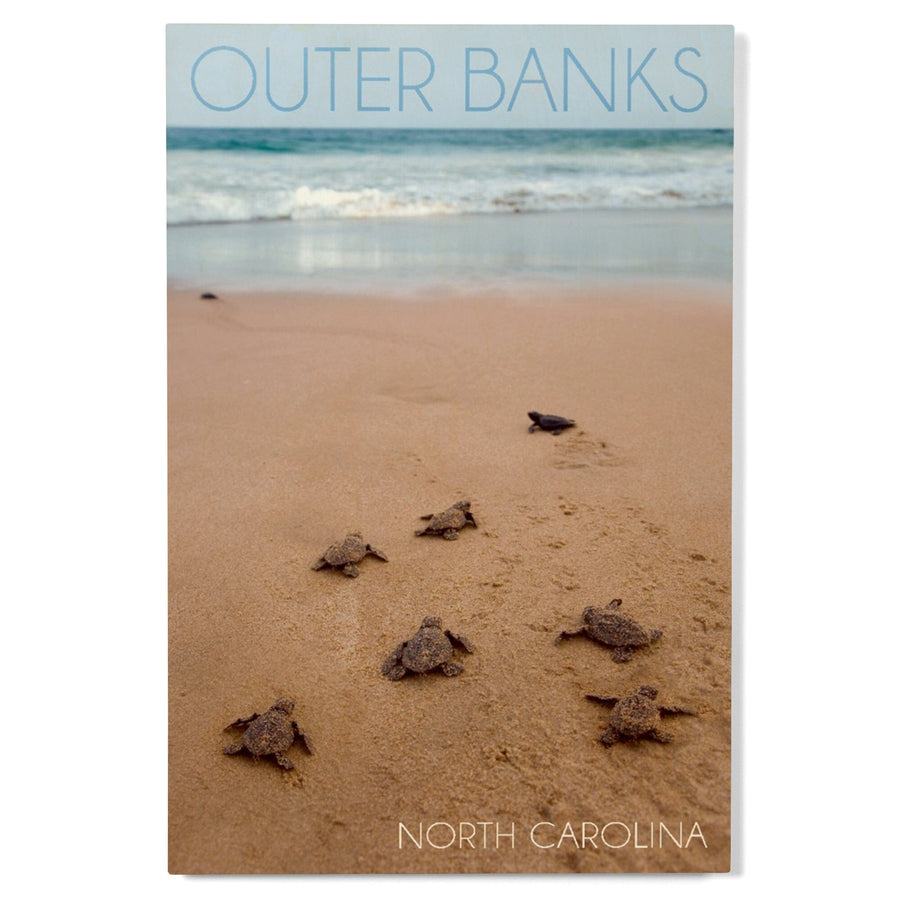 Outer Banks, North Carolina, Sea Turtles Hatching, Lantern Press Photography, Wood Signs and Postcards Wood Lantern Press