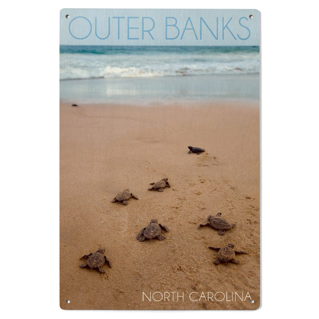 Outer Banks, North Carolina, Sea Turtles Hatching, Lantern Press Photography, Wood Signs and Postcards Wood Lantern Press