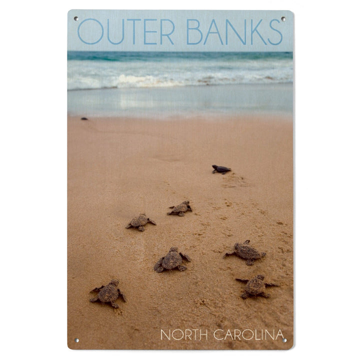 Outer Banks, North Carolina, Sea Turtles Hatching, Lantern Press Photography, Wood Signs and Postcards Wood Lantern Press