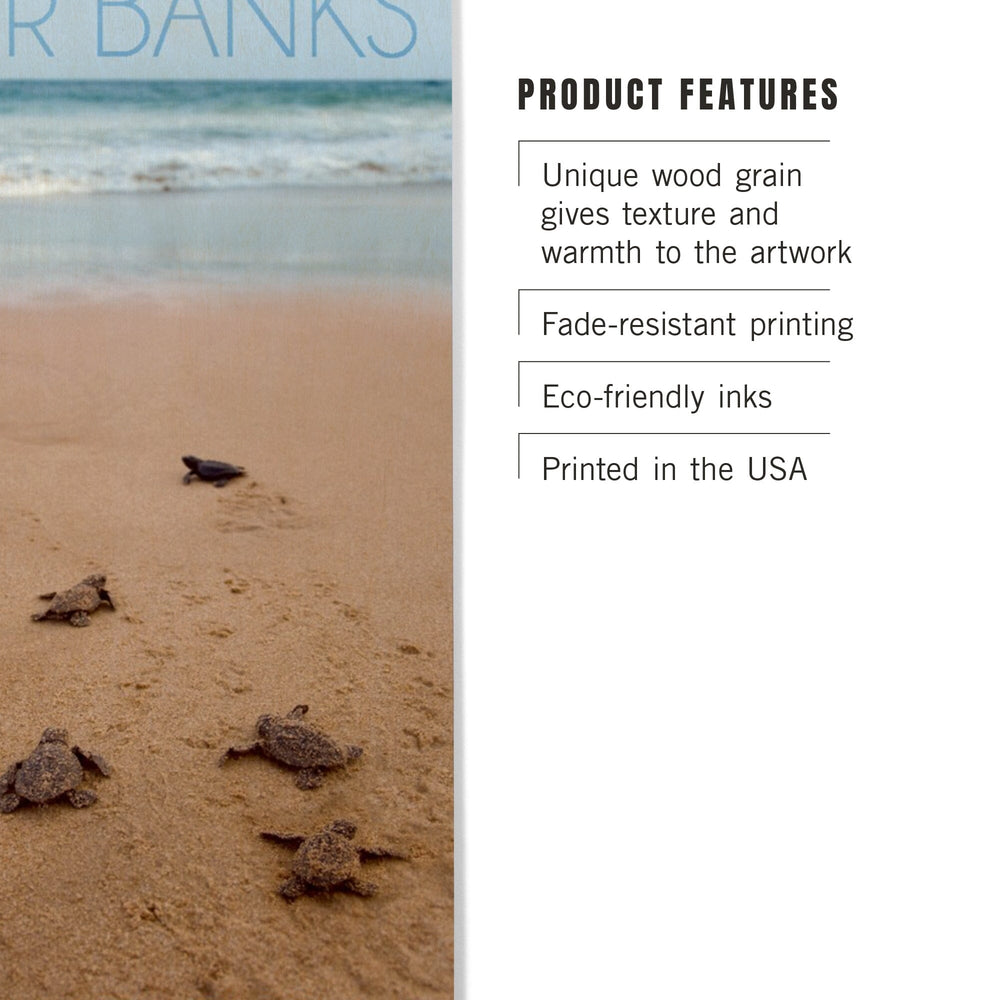 Outer Banks, North Carolina, Sea Turtles Hatching, Lantern Press Photography, Wood Signs and Postcards Wood Lantern Press