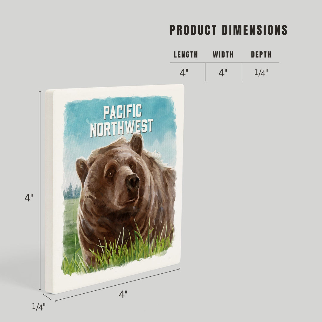 Pacific Northwest, Watercolor Study, Grizzly Bear, Coasters Coasters Lantern Press