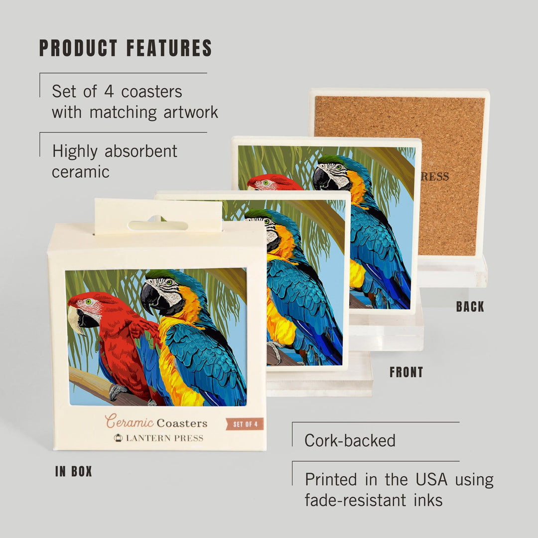 Parrots, Coasters Coasters Lantern Press