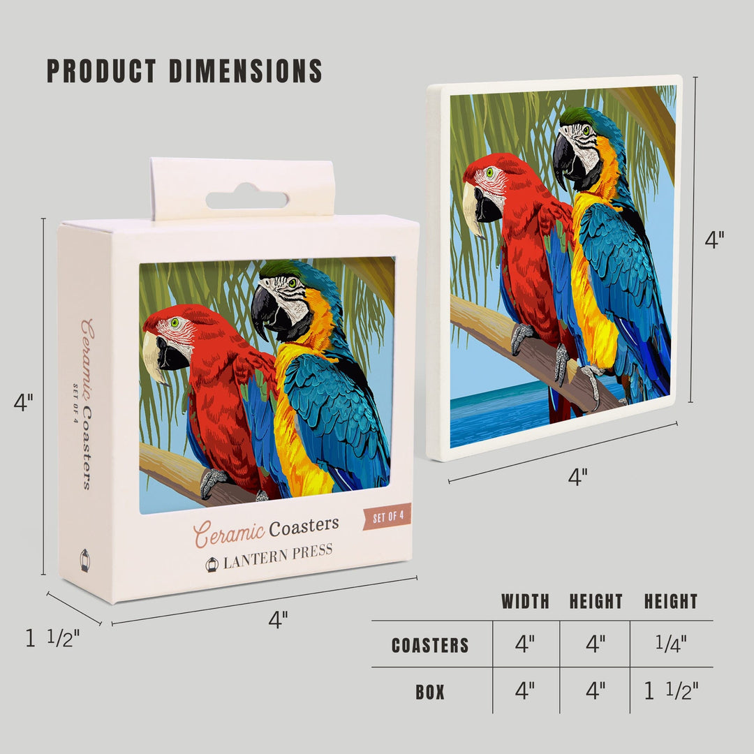 Parrots, Coasters Coasters Lantern Press