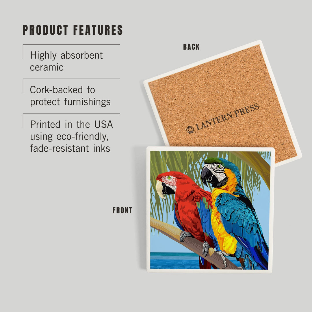Parrots, Coasters Coasters Lantern Press