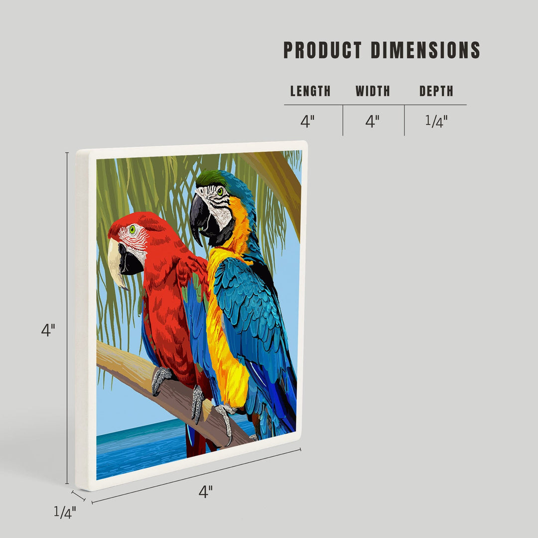 Parrots, Coasters Coasters Lantern Press
