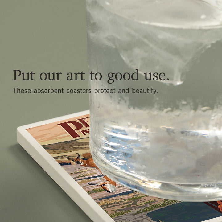 Petrified Forest National Park, Arizona, Desert and Antelope, Coasters Coasters Lantern Press