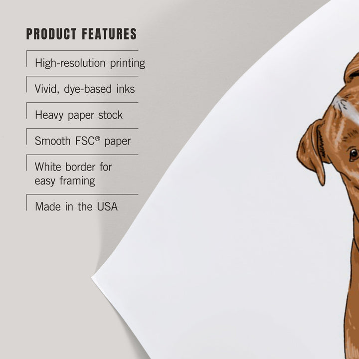 Pitbull, Golden, Life is Better, White Background, Art & Giclee Prints Art Lantern Press