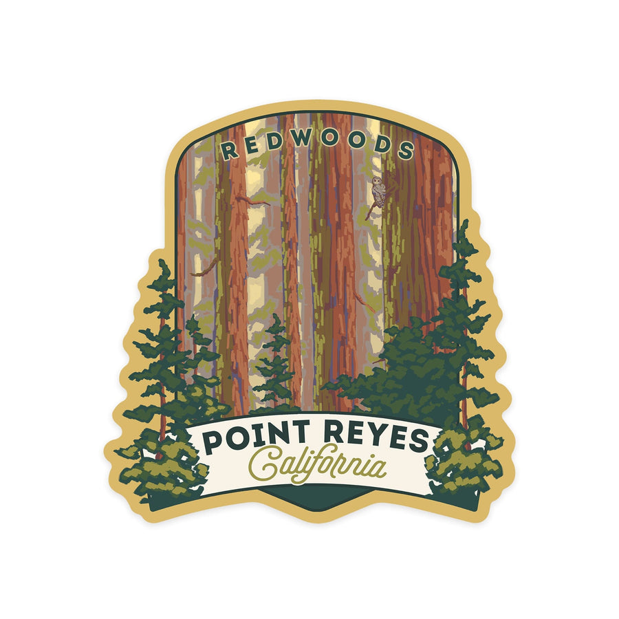 Point Reyes, California, Redwoods Forest View, Contour, Lantern Press Artwork, Vinyl Sticker Sticker Lantern Press
