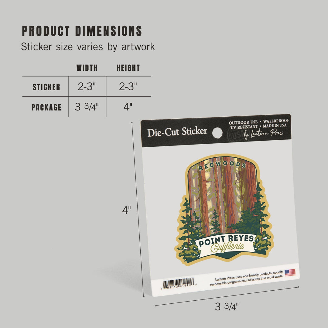 Point Reyes, California, Redwoods Forest View, Contour, Lantern Press Artwork, Vinyl Sticker Sticker Lantern Press