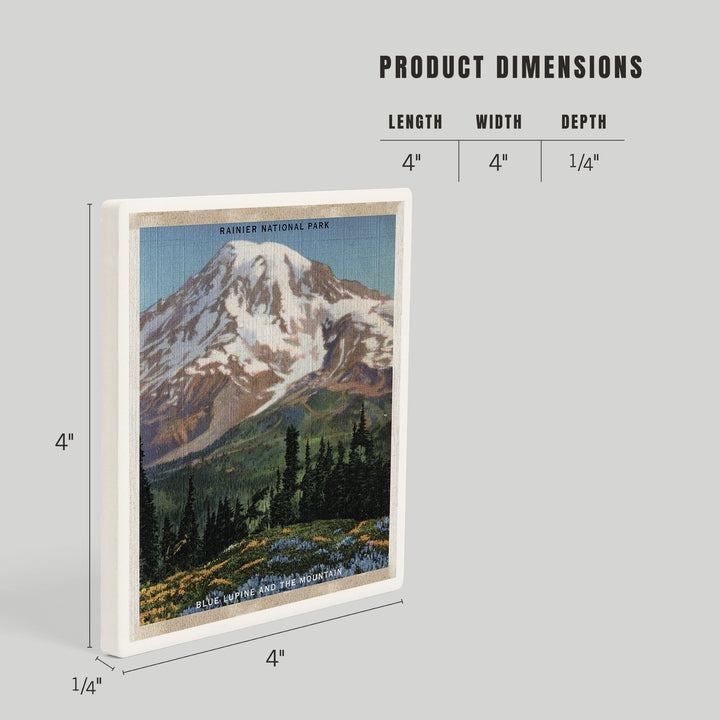Rainier National Park, WA, View of Mt. Rainier, Blue Lupine Blooming, Coasters Coasters Lantern Press