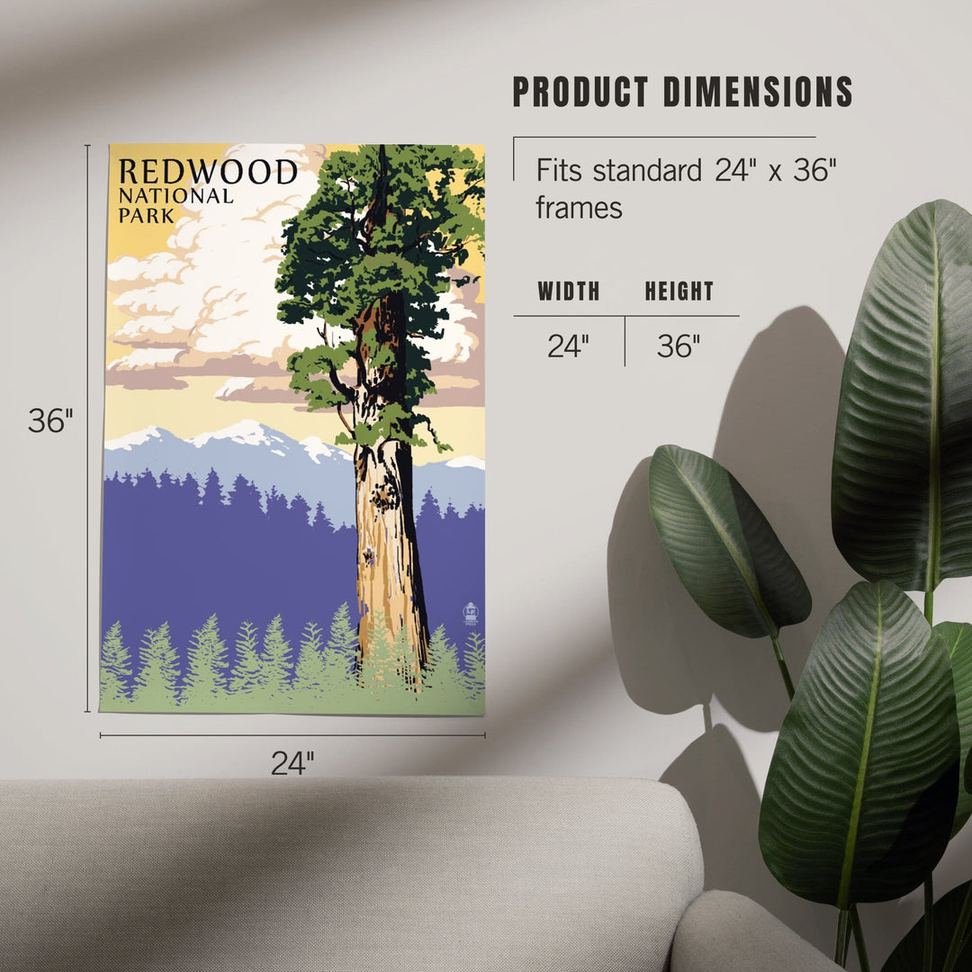 Redwood National Park, California, Towering Redwood, Art & Giclee Prints Art Lantern Press