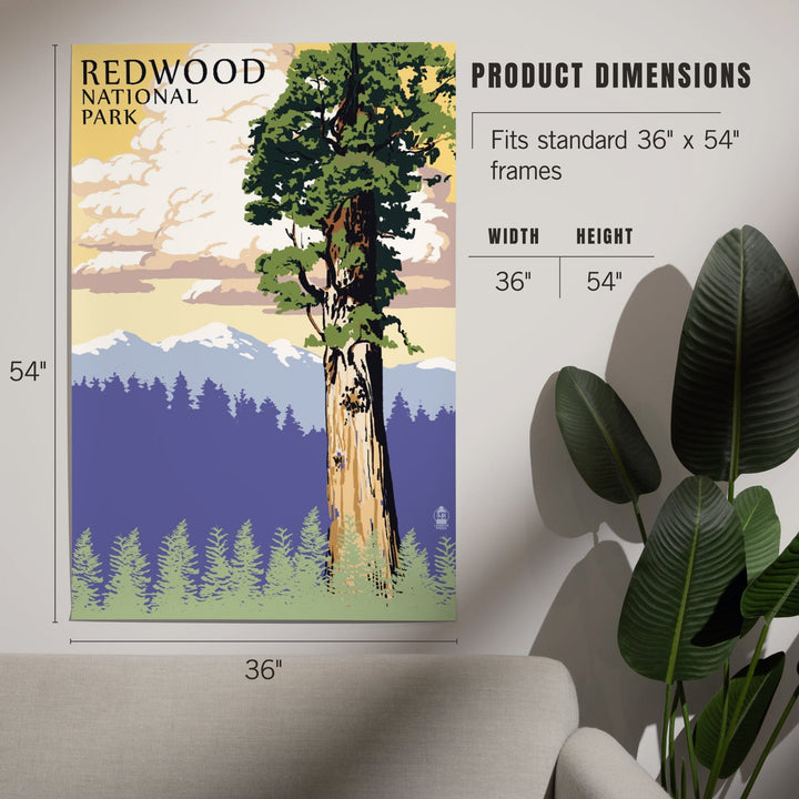 Redwood National Park, California, Towering Redwood, Art & Giclee Prints Art Lantern Press 