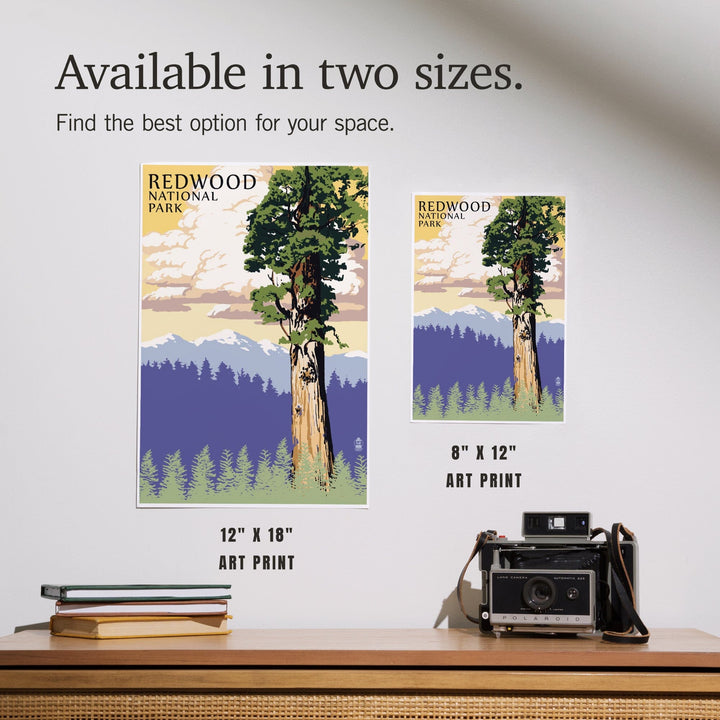 Redwood National Park, California, Towering Redwood, Art & Giclee Prints Art Lantern Press 