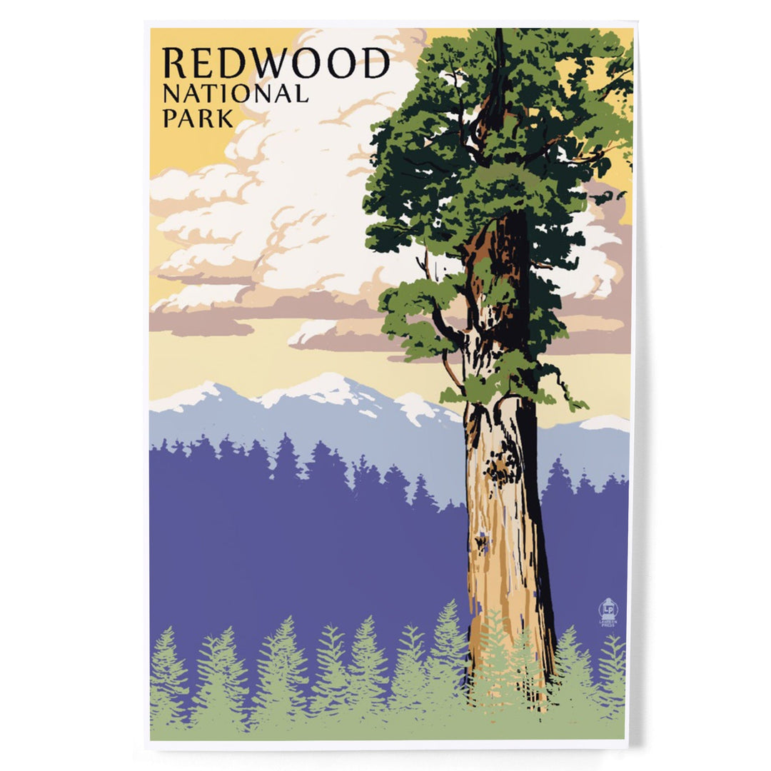 Redwood National Park, California, Towering Redwood, Art & Giclee Prints Art Lantern Press 