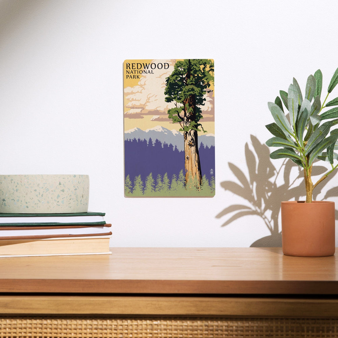 Redwood National Park, California, Towering Redwood, Lantern Press Artwork, Wood Signs and Postcards Wood Lantern Press