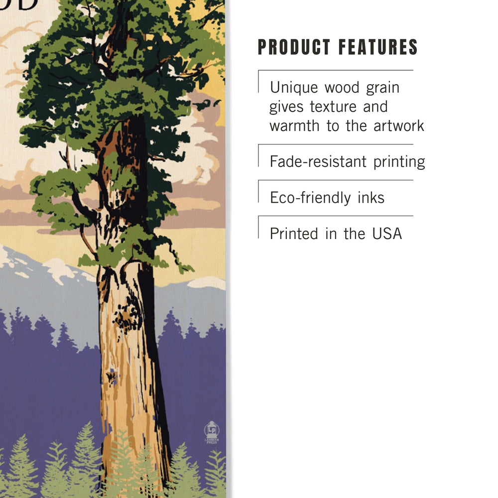 Redwood National Park, California, Towering Redwood, Lantern Press Artwork, Wood Signs and Postcards Wood Lantern Press