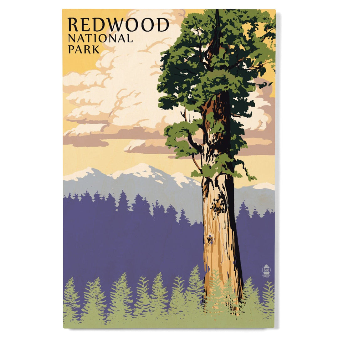 Redwood National Park, California, Towering Redwood, Lantern Press Artwork, Wood Signs and Postcards Wood Lantern Press
