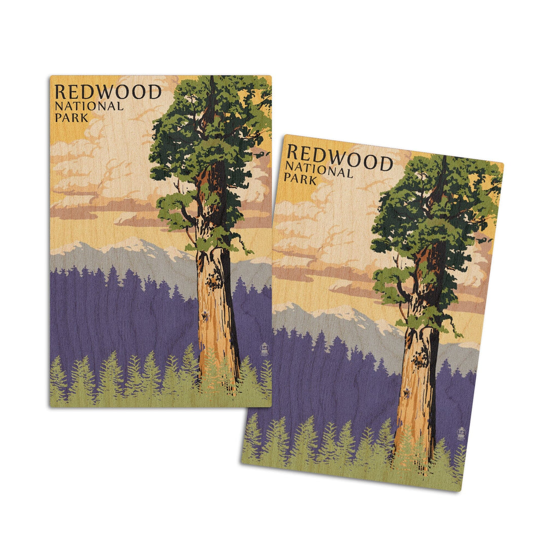 Redwood National Park, California, Towering Redwood, Lantern Press Artwork, Wood Signs and Postcards Wood Lantern Press 4x6 Wood Postcard Set