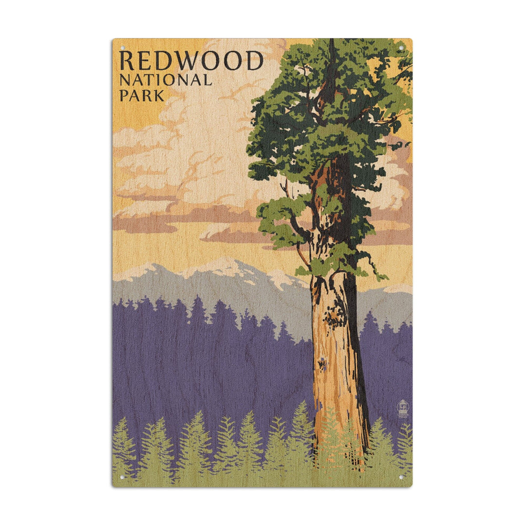 Redwood National Park, California, Towering Redwood, Lantern Press Artwork, Wood Signs and Postcards Wood Lantern Press 6x9 Wood Sign