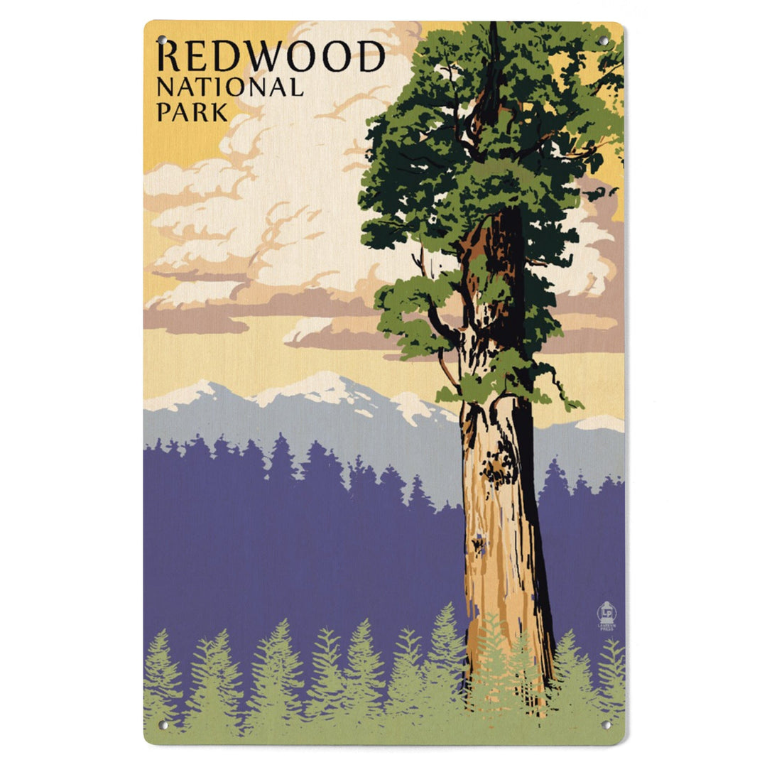 Redwood National Park, California, Towering Redwood, Lantern Press Artwork, Wood Signs and Postcards Wood Lantern Press
