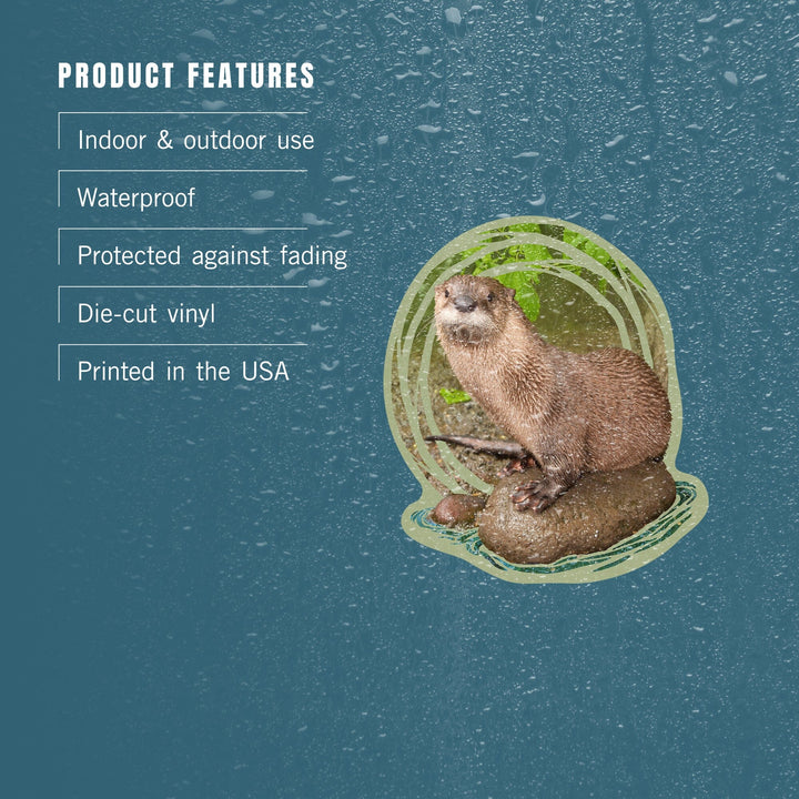 River Otter on Shore, Contour, Lantern Press Photography, Vinyl Sticker Sticker Lantern Press