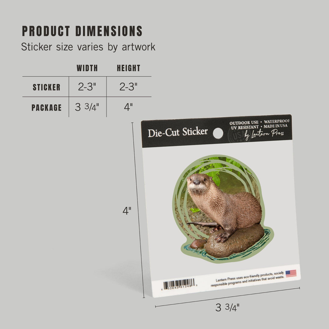 River Otter on Shore, Contour, Lantern Press Photography, Vinyl Sticker Sticker Lantern Press