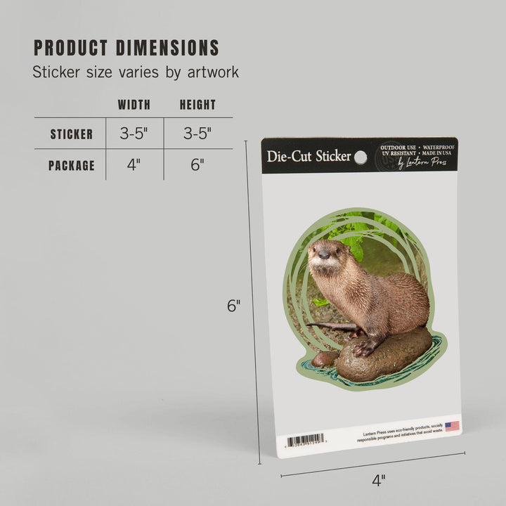 River Otter on Shore, Contour, Lantern Press Photography, Vinyl Sticker Sticker Lantern Press