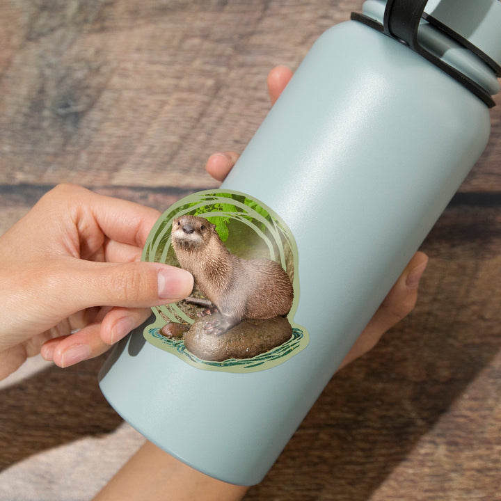 River Otter on Shore, Contour, Lantern Press Photography, Vinyl Sticker Sticker Lantern Press