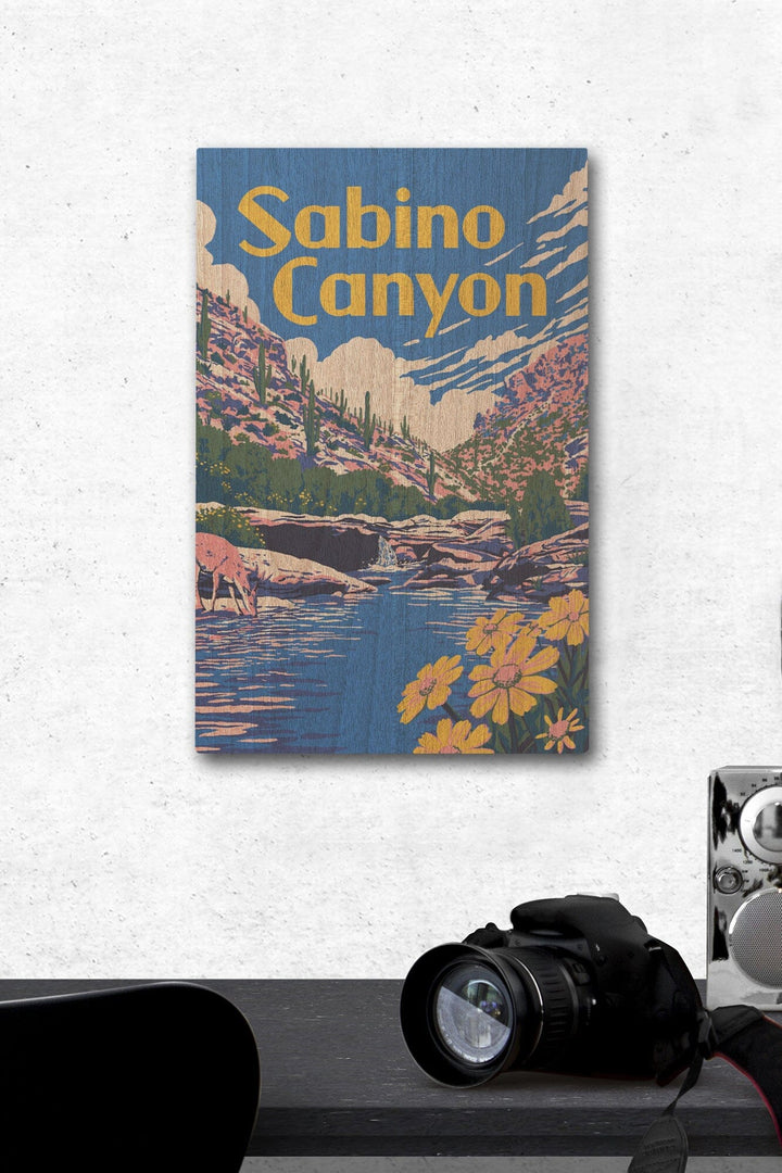 Sabino Canyon, Arizona, Explorer Series, Lantern Press Artwork, Wood Signs and Postcards Wood Lantern Press 12 x 18 Wood Gallery Print