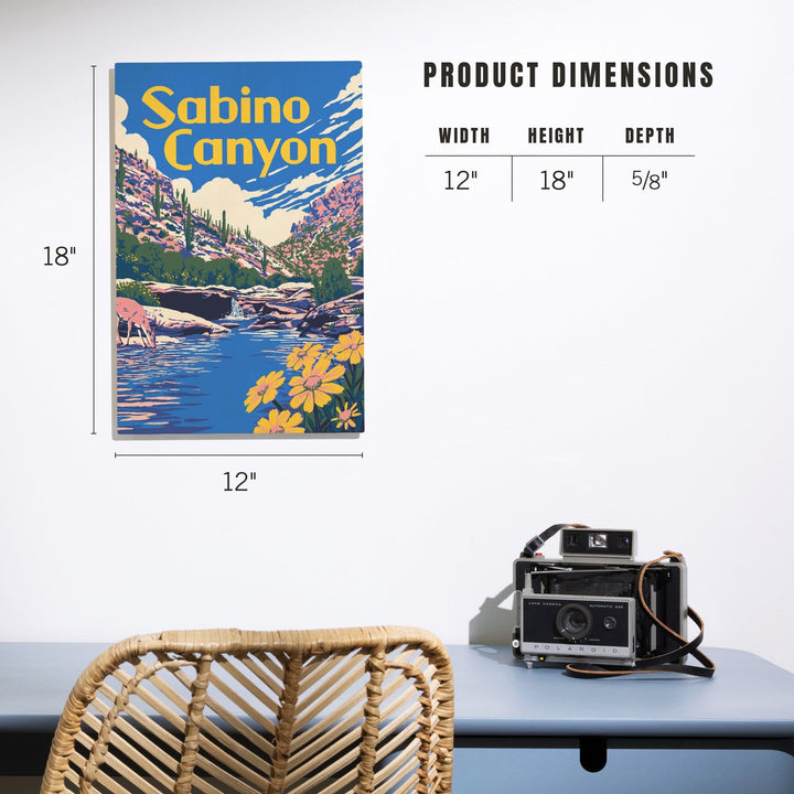 Sabino Canyon, Arizona, Explorer Series, Lantern Press Artwork, Wood Signs and Postcards Wood Lantern Press