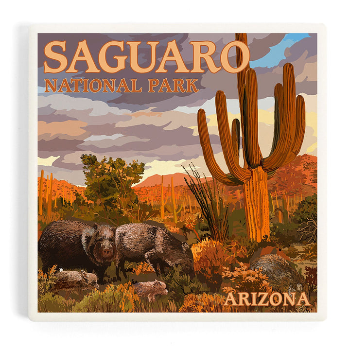 Saguaro National Park, Javelina, Coasters Coasters Lantern Press