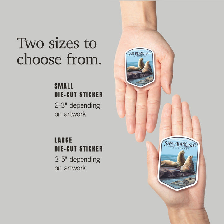 San Francisco, California, Sea Lions, Contour, Lantern Press Artwork, Vinyl Sticker Sticker Lantern Press